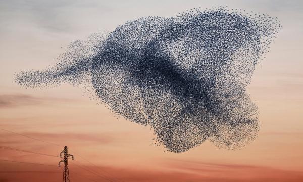 Il Premio Nobel per la fisica 2021 e la ricerca Unifi