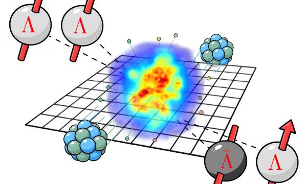 Dalla struttura dello spin nel plasma primordiale alla copertina di Physical Review Letters