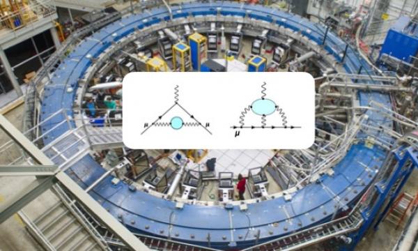 g-2 e altre tensioni nel modello standard: indizi di nuova fisica delle interazioni fondamentali?